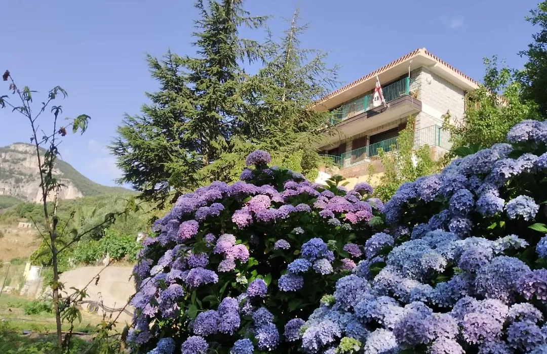 B&B Taccu Maccu-1